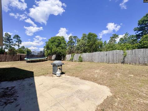 290 Baneberry Loop Lexington SC 29073
