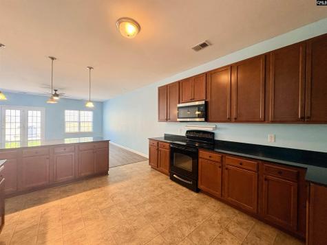 290 Baneberry Loop Lexington SC 29073