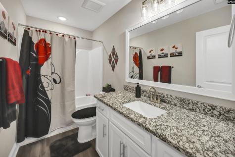 204 Sapphire Gem Lane Elgin SC 29045