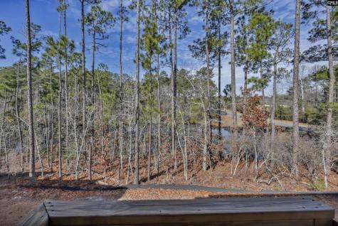 204 Sapphire Gem Lane Elgin SC 29045