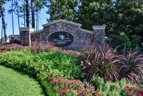 204 Sapphire Gem Lane Elgin SC 29045