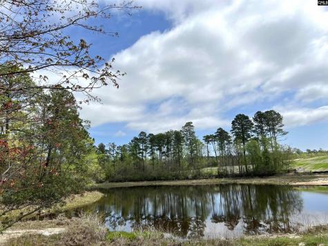 643 Thunder Gulch Avenue Lexington SC 29073