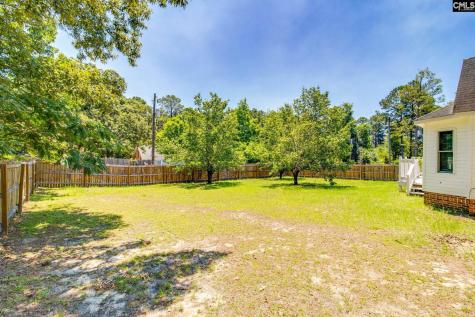 207 Southdown Drive Columbia SC 29209