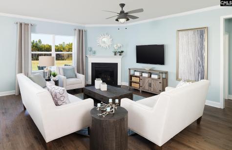 389 Mont Haven Place Lexington SC 29072