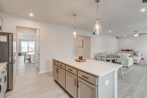 593 Bee Balm Drive Blythewood SC 29016-9278