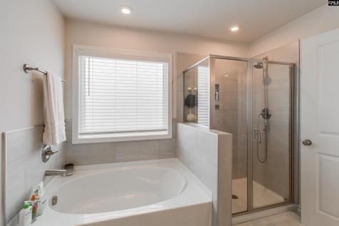 593 Bee Balm Drive Blythewood SC 29016-9278