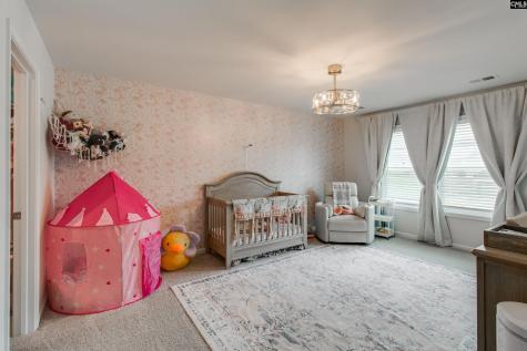 593 Bee Balm Drive Blythewood SC 29016-9278