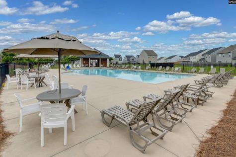 593 Bee Balm Drive Blythewood SC 29016-9278