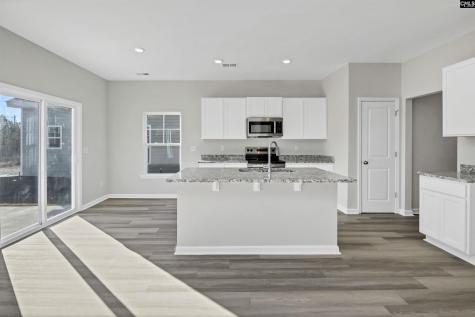 260 Brando Way Columbia SC 29223