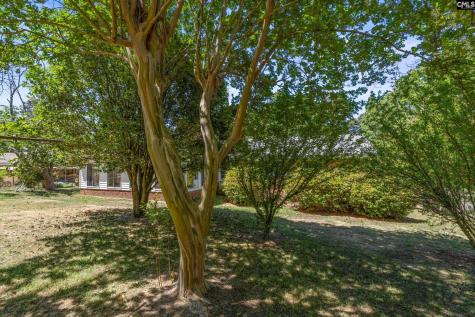 1824 Fairhaven Drive Columbia SC 29210