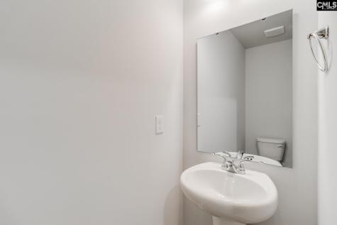 3946 Golden Crane Pass Lexington SC 29073