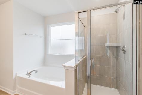 3946 Golden Crane Pass Lexington SC 29073