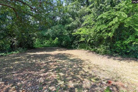 319 Sumter Street NE Aiken SC 29801