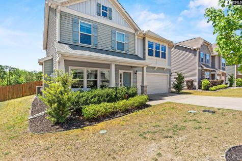 292 Meadow Springs Drive Columbia SC 29229