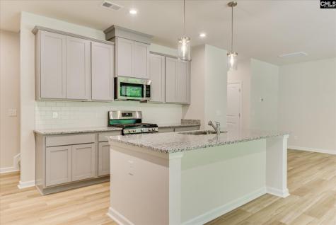 115 Bloomsbury Drive Lexington SC 29073