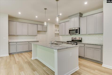 115 Bloomsbury Drive Lexington SC 29073