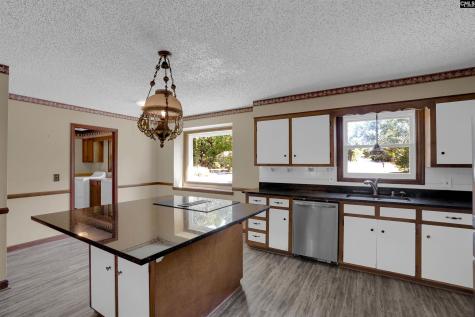 824 Cold Branch Drive Columbia SC 29223
