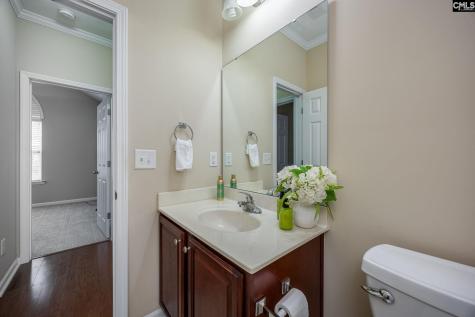160 Vista Oaks Drive Lexington SC 29072