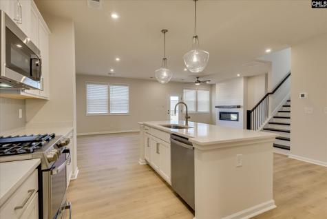 294 Summer Orchard Drive Lexington SC 29072