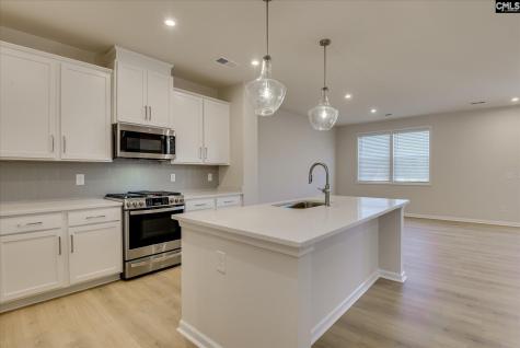 294 Summer Orchard Drive Lexington SC 29072