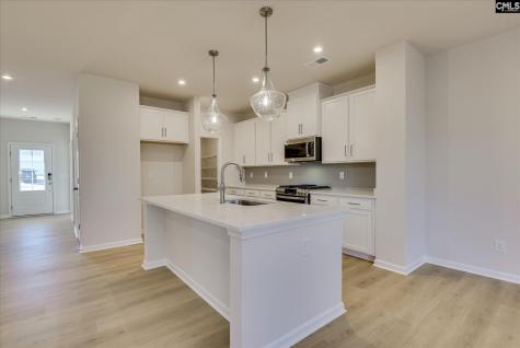 294 Summer Orchard Drive Lexington SC 29072