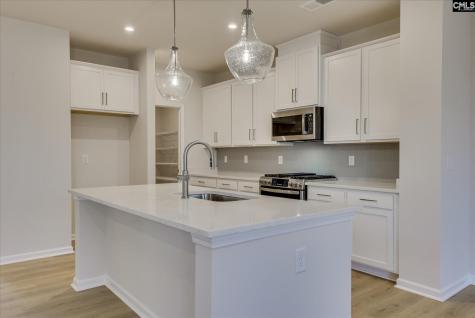 294 Summer Orchard Drive Lexington SC 29072