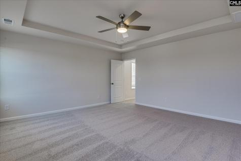 294 Summer Orchard Drive Lexington SC 29072