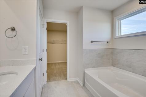 294 Summer Orchard Drive Lexington SC 29072