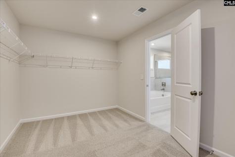 294 Summer Orchard Drive Lexington SC 29072
