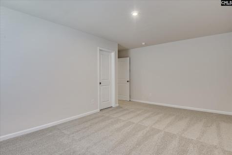 294 Summer Orchard Drive Lexington SC 29072