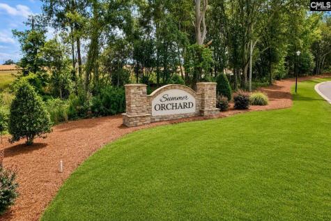 294 Summer Orchard Drive Lexington SC 29072