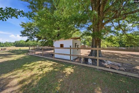 695 Hartzog Barnwell SC 29812