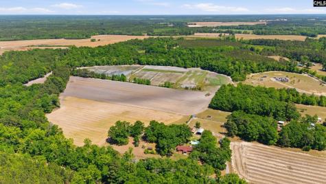 695 Hartzog Barnwell SC 29812