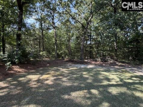 409 Travis Avenue Saluda SC 29138