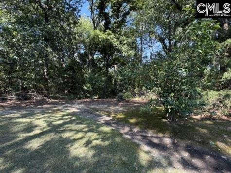 409 Travis Avenue Saluda SC 29138