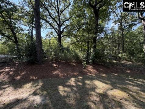 409 Travis Avenue Saluda SC 29138
