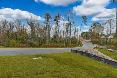 182 Secretariat Street Lexington SC 29073