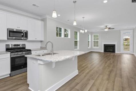 182 Secretariat Street Lexington SC 29073