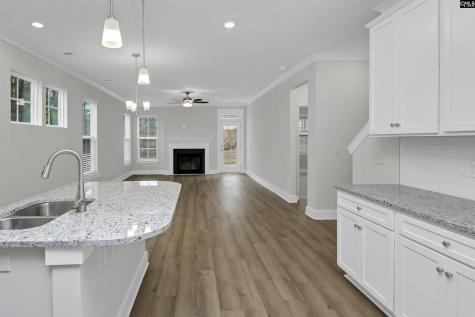 182 Secretariat Street Lexington SC 29073