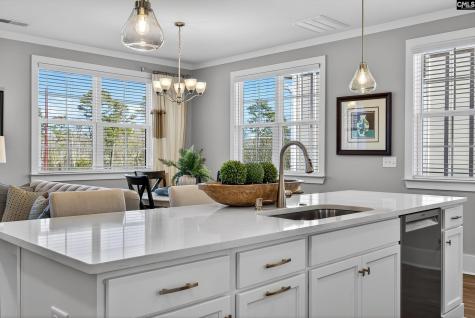 1008 Manarola Road Lexington SC 29072