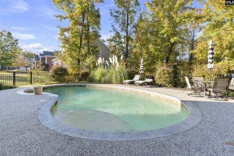102 Longford Court Lexington SC 29072