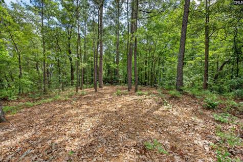 213 Lakeview Road Eastover SC 29044