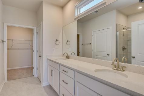 325 Brass Billion Path Lexington SC 29073
