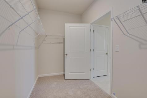 325 Brass Billion Path Lexington SC 29073