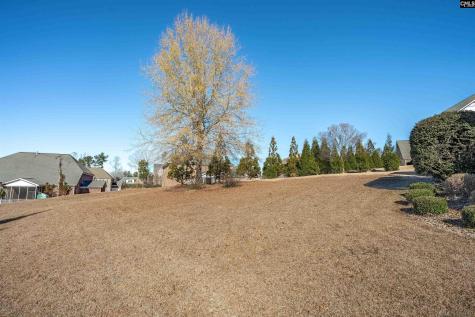 510 House Wren Lane Blythewood SC 29016