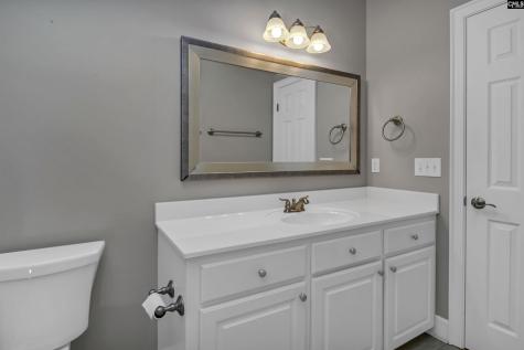 224 Royal Lythan Circle Lexington SC 29072