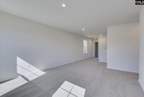 1923 Pink Orchard Court Lexington SC 29073