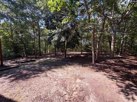 168 Hollow Tree Court Lugoff SC 29078