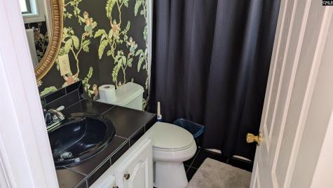 1253 Westshore Drive Ridgeway SC 29130-0000