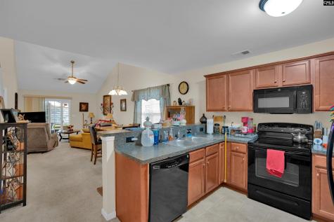 195 Regency Drive Columbia SC 29212
